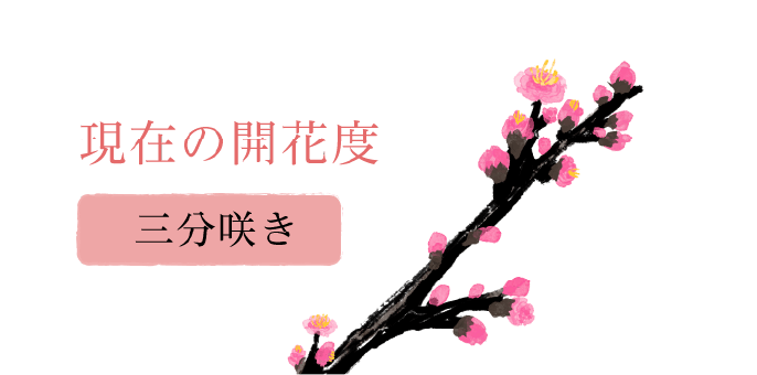 梅苑「花の庭」