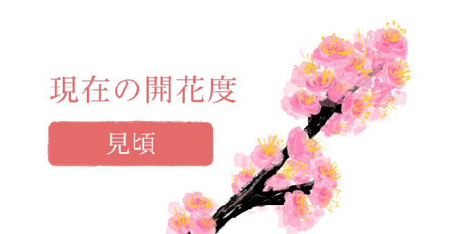 梅苑「花の庭」