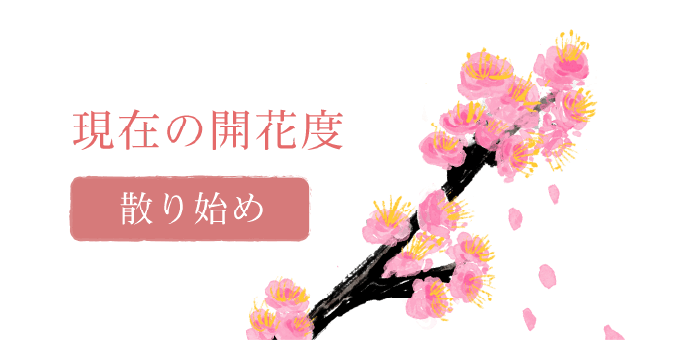 梅苑「花の庭」