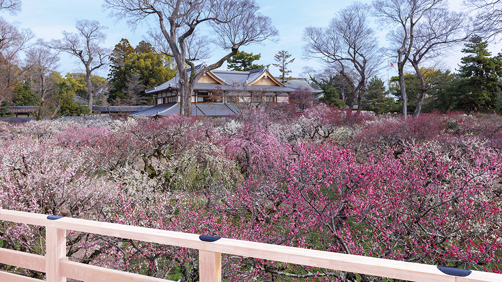 舞台からの景色