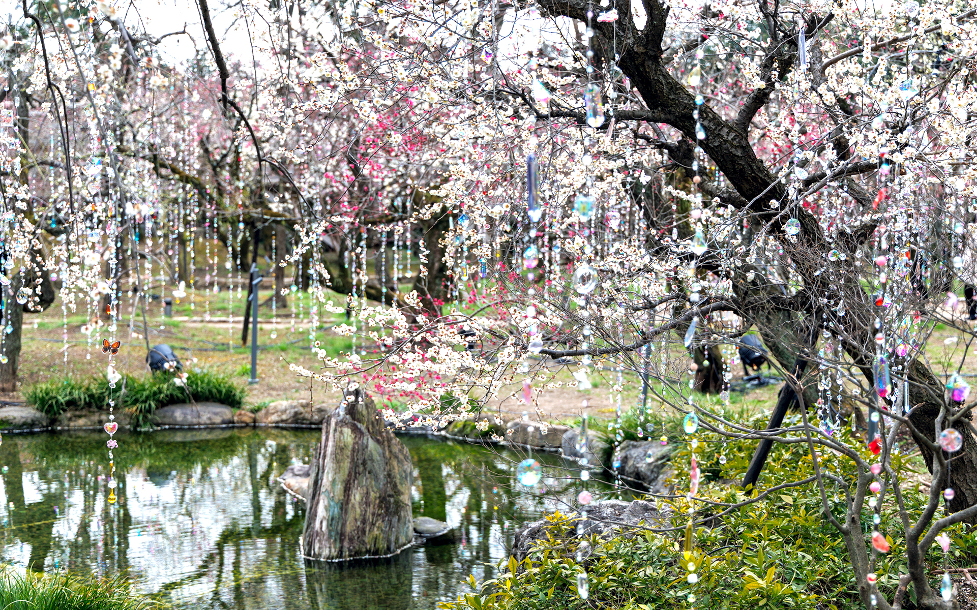 インスタレーション