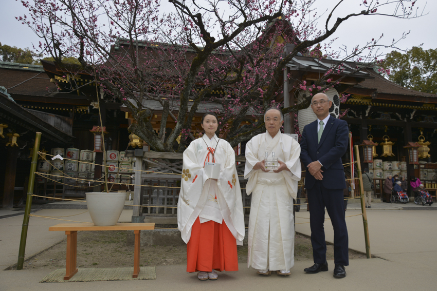 御神木「飛梅」組織培養成功発表