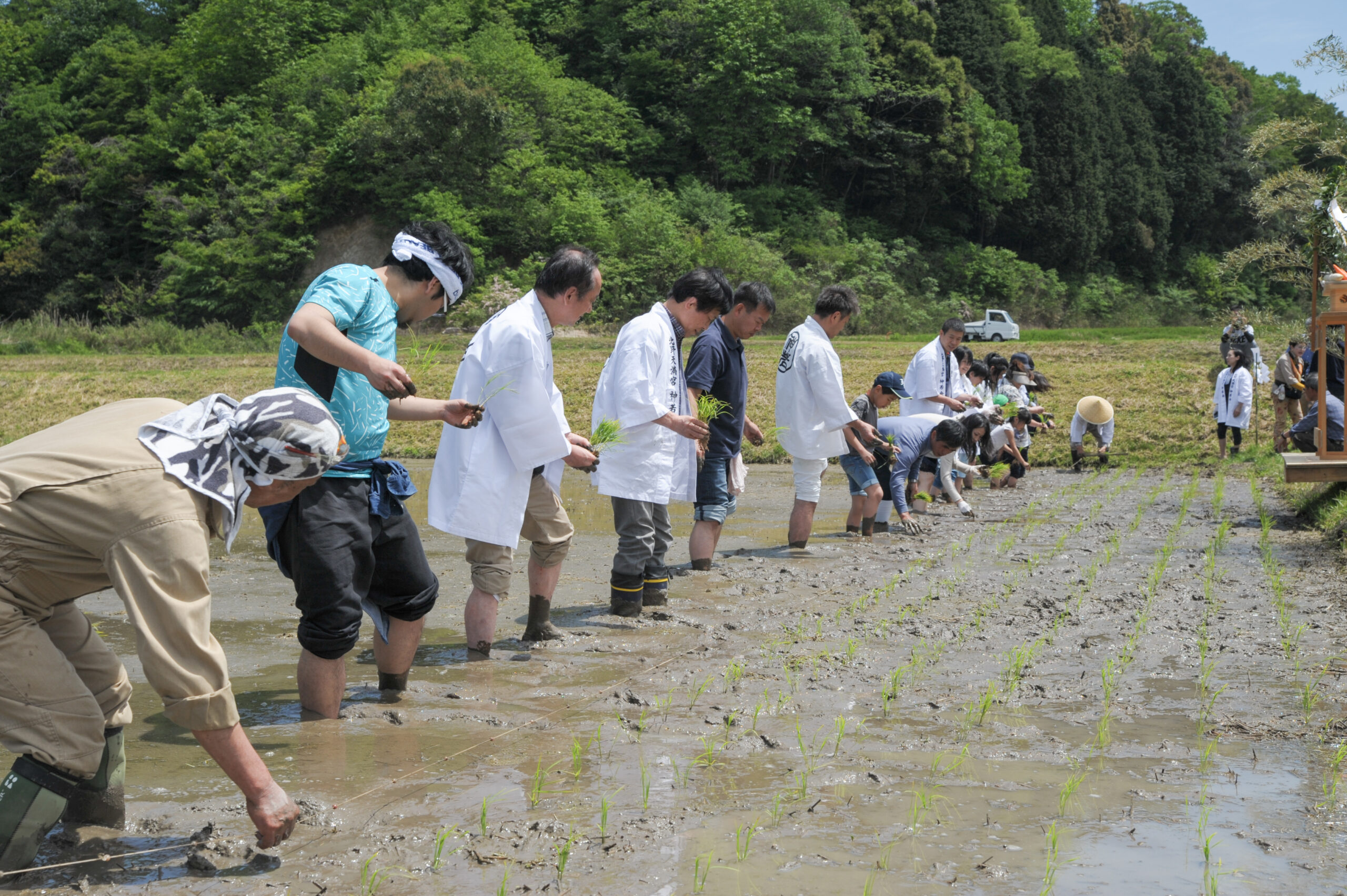 京丹後市大宮にて田植え事業開始